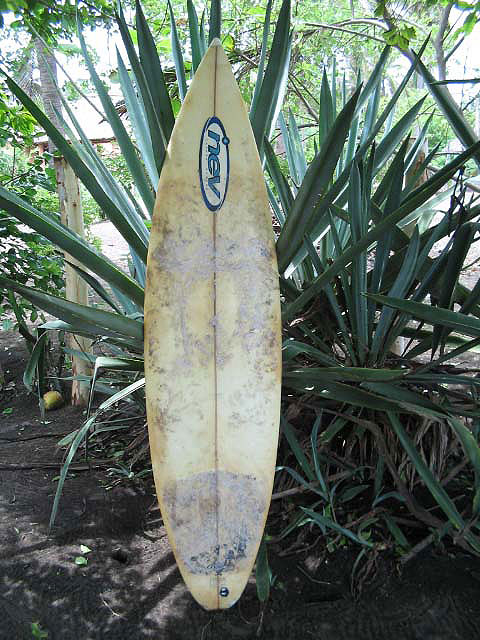 6'4 NEV - Paredon Surf Camp - Maya Expeditions
