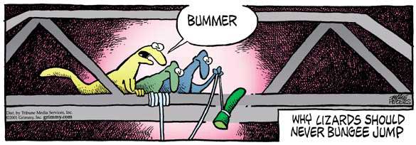 Why Lizards don't Bungee  - Maya Expeditions