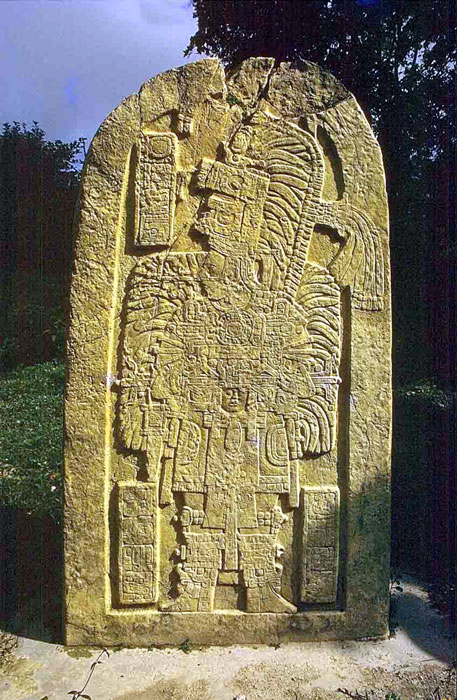 Stelea at Tikal - Maya Archaeological Site - Photo by Bill Bogusky Maya Expeditions