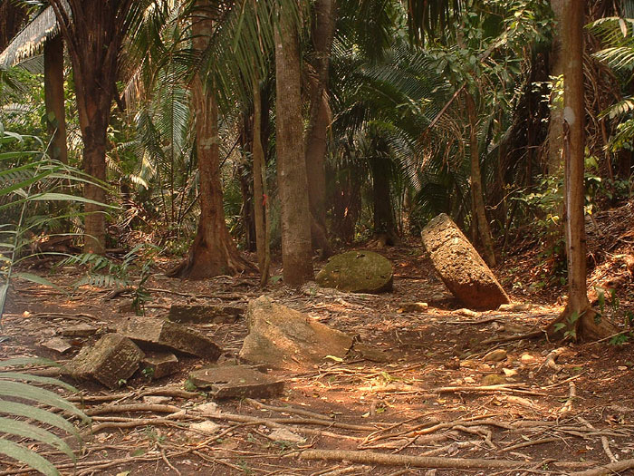 Cancuen Stelea - Maya Expeditions