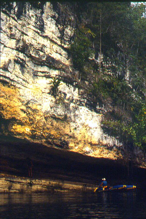 Limestone Wall - Chiquibul River