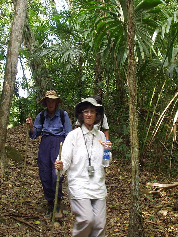 Lush Jungle Trail - El Peru - Maya Expeditions