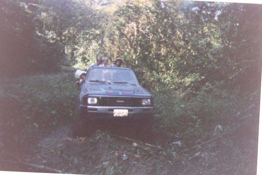 Enclosed Jungle 4-wheel drive road - Rio Azul - Maya Expeditions