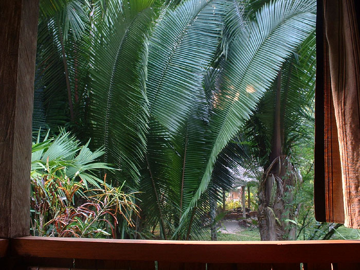 Candelaria Lodge - view  from Bathroom - Maya Expeditions