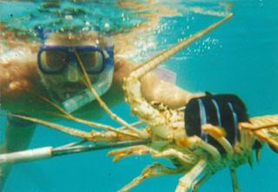 Sailing on Las Sirenas Lobster Hunting - photo by Aventuras Vacacionales, S.A.