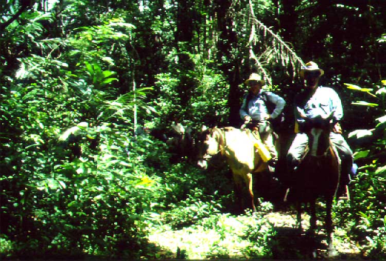 Jungle horseback Riding into Dos Pilas - photo by Willy Alejos - Maya Expeditions