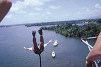 Swan Dive off Rio Dulce Bridge