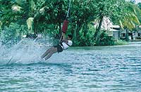 Bungee Wet Dip