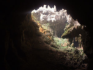 Cave El Mico - Serpient formation - Maya Archaeology Site