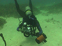 Scuba Diver with camera - photo by Pepe Scuba - Maya Expeditions