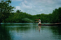 Atarraya Net fishing mangrove - other activities -  Photo by Jose Cruz Velarde - Maya Expeditions