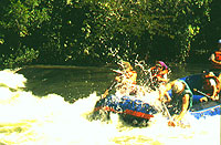 Rapids - Chiquibul River Rafting