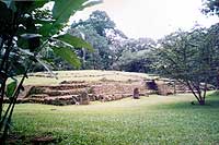 Abaj Takalik Plaza Fat Man Stature - Maya Expeditions 
