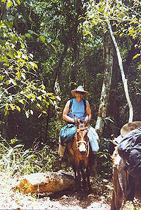 El Mirador trail - Maya Archaeology Site