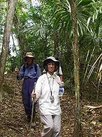 Lush Jungle Trail - El Peru Photo Gallery - Maya Expeditions