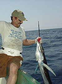 Sail Fish - photo Parlama Team - Maya Expeditions